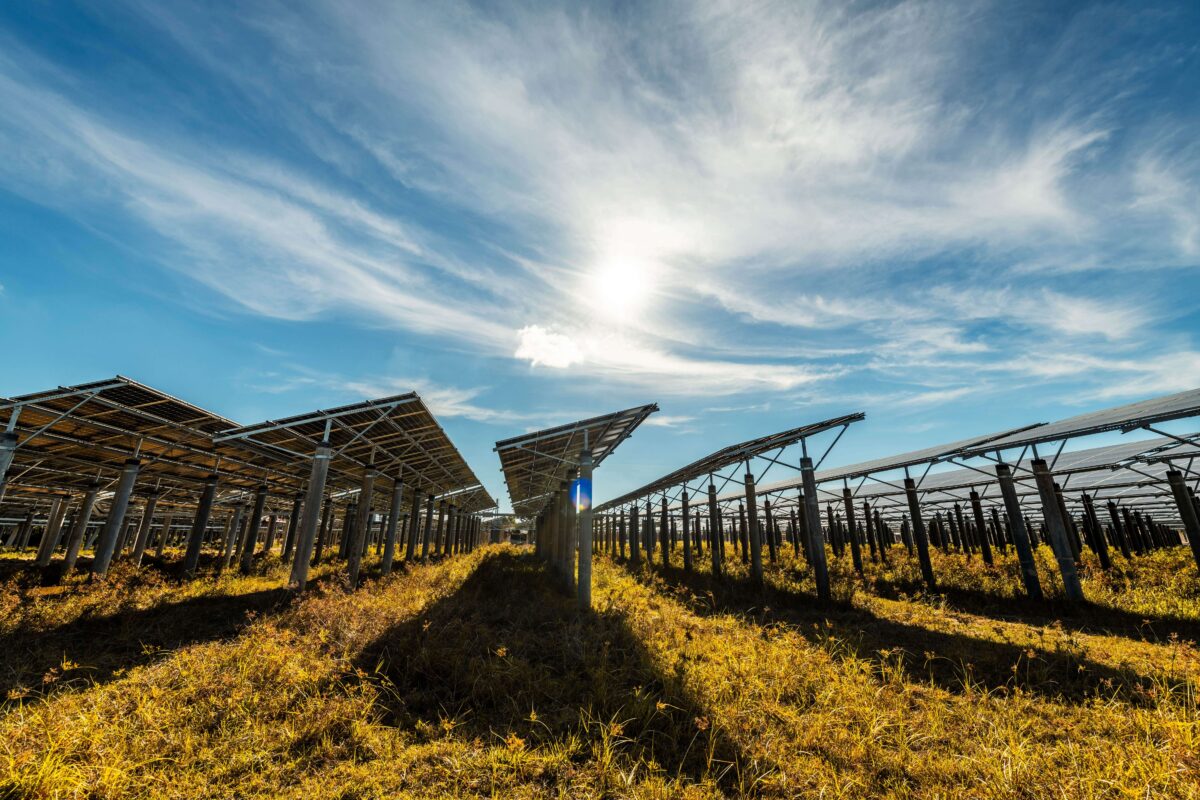 Which energy monitoring systems can be used to track and optimize the variability in solar energy production?